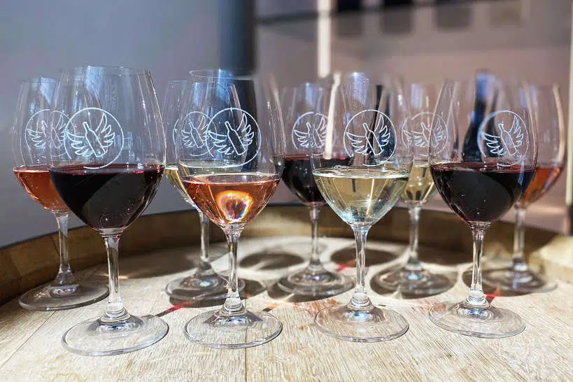 Naked Wines Expert Wine Kits by Authentic Food Quest