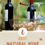 Pinterest Natural Wine Clubs by Authentic Food Quest