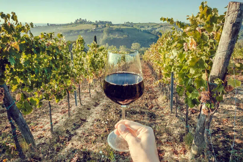 Chianti Culinary Vacations in Tuscany by Authentic Food Quest