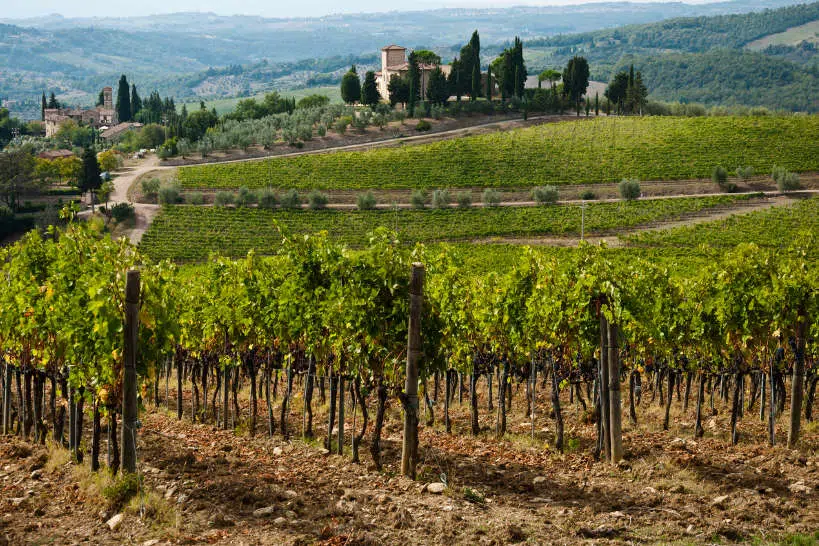 Chianti Region Italian Cooking Vacations For Wine Lovers by Authentic Food Quest