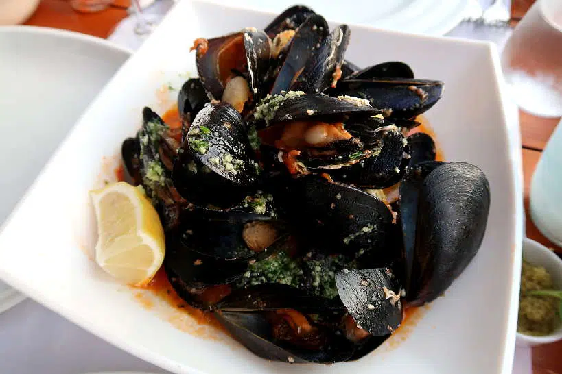 Mussels Kotor Montenegro by Authentic Food Quest