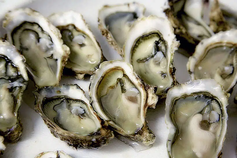 Fresh Oysters  cooking vacations in France by Authentic Food Quest