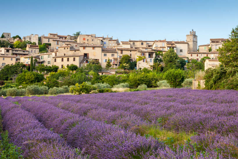 Lavander Field in Provence Village France by Authentic Food Quest