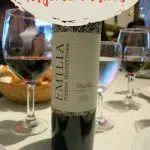 Pinterest Drinks Argentina by Authentic Food Quest