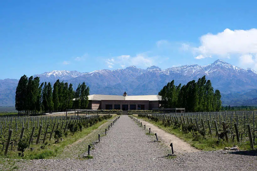 Winery Foodie Vacation in Mendoza Argentina by Authentic Food Quest
