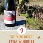 Pinterest Best Etna Wineries To Visit by Authentic Food Quest