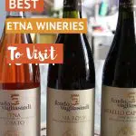 Pinterest Best Etna Wineries by Authentic Food Quest