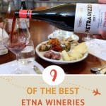 Pinterest Best Etna Wines by Authentic Food Quest