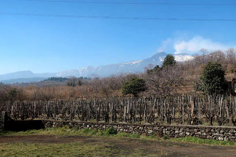 Winery Near Mount Etna by Authentic Food Quest