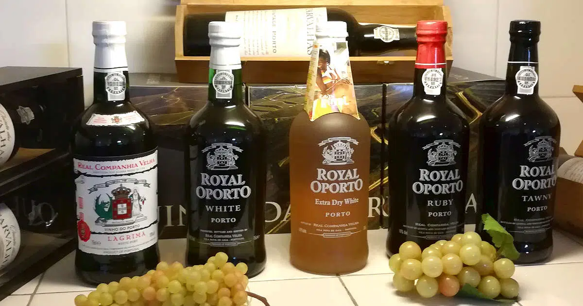 1200 Porto Tasting in Porto by Authentic Food Quest