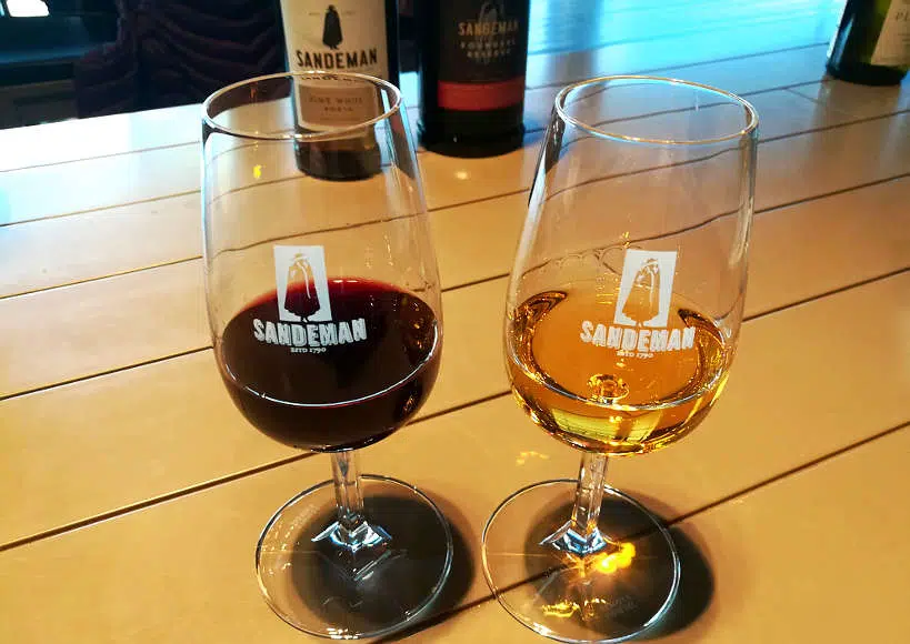Sandeman Port Tasting Porto Portugal by Authentic Food Quest