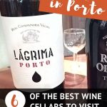 Pinterest Best Port Wine Tasting Porto by AuthenticFoodQuest