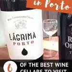 Pinterest Best Port Wine Tasting Porto by AuthenticFoodQuest