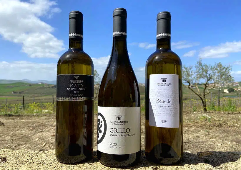 Alessandro di Camporeale Sicily Wine Tasting Experience by Authentic Food Quest
