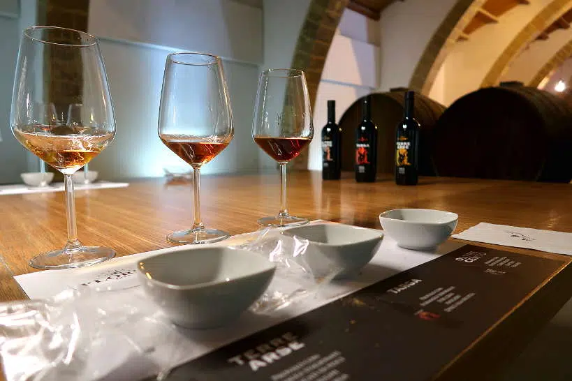 Cantine Florio Wine Tasting Experience by Authentic Food Quest