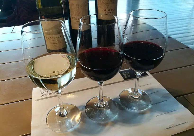 5 Of The Best Wineries in Douro Valley Portugal You Should Visit 1