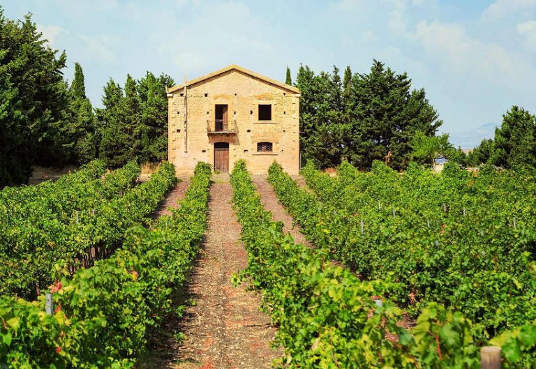 15 Best Wineries In Sicily To Visit For Tasting Wines Of Sicily