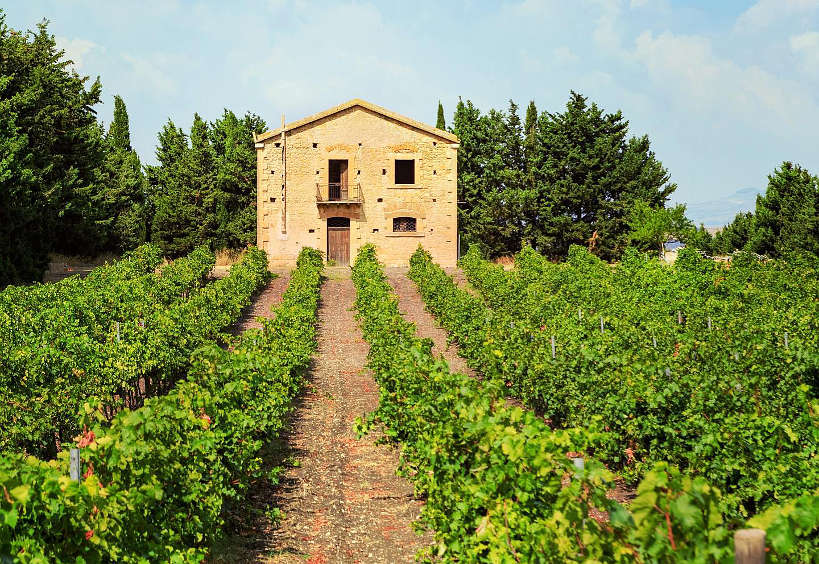 Di Giovanna Vineyards Wineries in Sicily by Authentic Food Quest