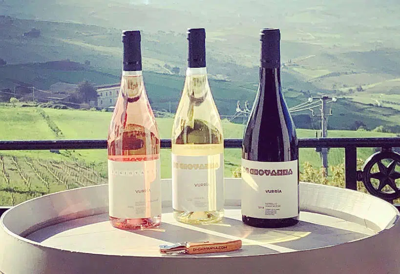 Di Giovanna Sicily Wine Tasting by Authentic Food Quest