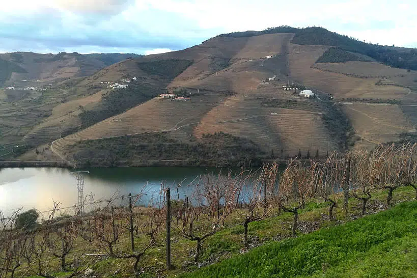 Douro Valley Vineyards by Authentic Food Quest