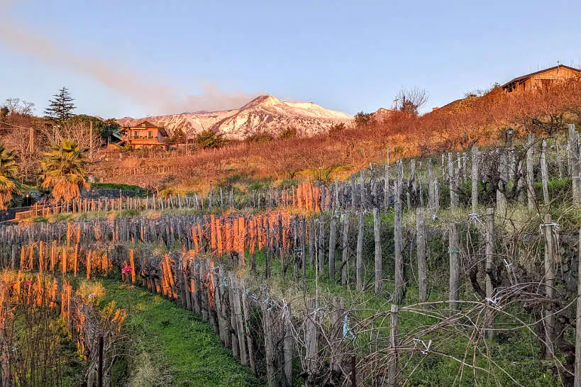 Etna Sicily Wineries by Authentic Food Quest