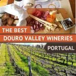 Pinterest Best Douro Valley Wineries by Authentic Food Quest