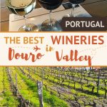 Pinterest Best Douro Valley Wineries_Portugal by_Authentic Food Quest