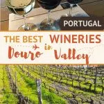 Pinterest Best Douro Valley Wineries_Portugal by_Authentic Food Quest