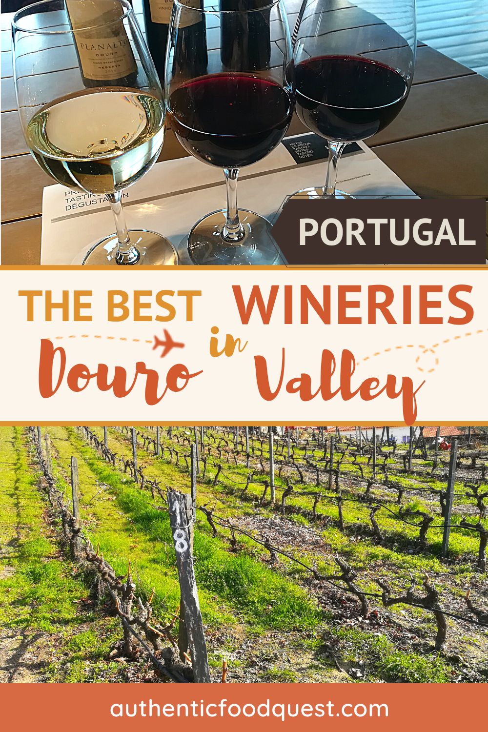 5 Of The Best Wineries In Douro Valley Portugal You Should Visit