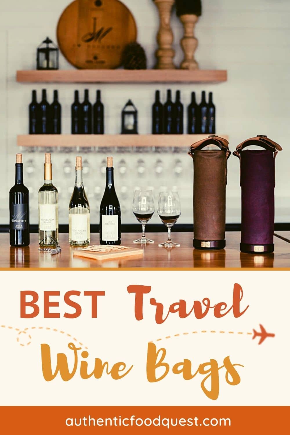 10 Best Travel Wine Bags For Safe Trips In 2024