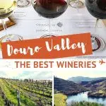 Pinterest Douro Valley Wineries Portugal by Authentic Food Quest