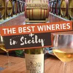 15 Best Wineries in Sicily To Visit For Tasting Wines of Sicily 1