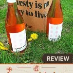 Pinterest Winc Summer Water by Authentic Food Quest