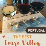 Pinterest Wineries in Douro Valley_Portugal by Authentic Food Quest