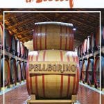Pinterest Wineries in Sicily by AuthenticFoodQuest