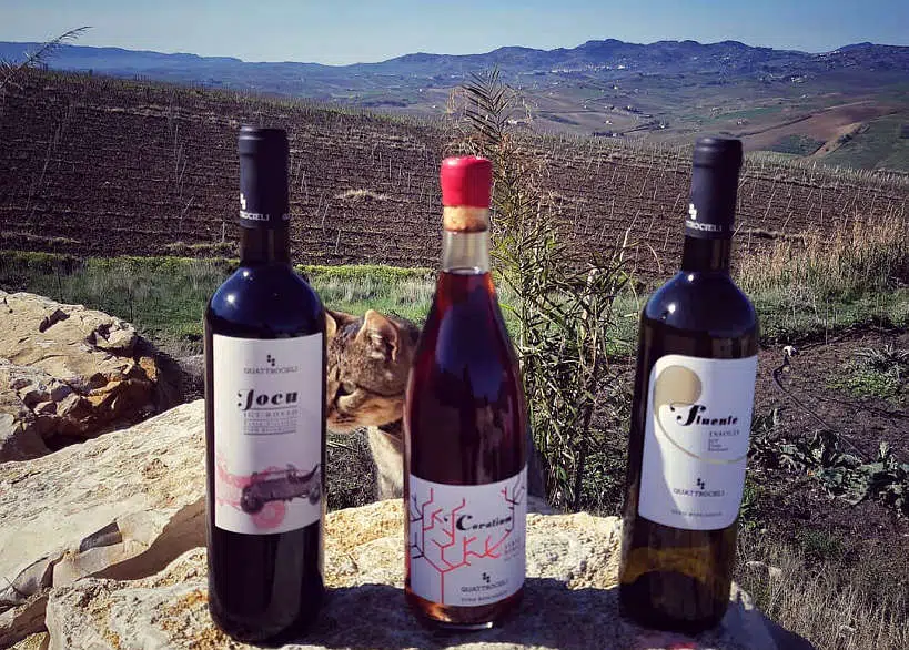 Quattrocieli Tasting Wines From Sicily by Authentic Food Quest