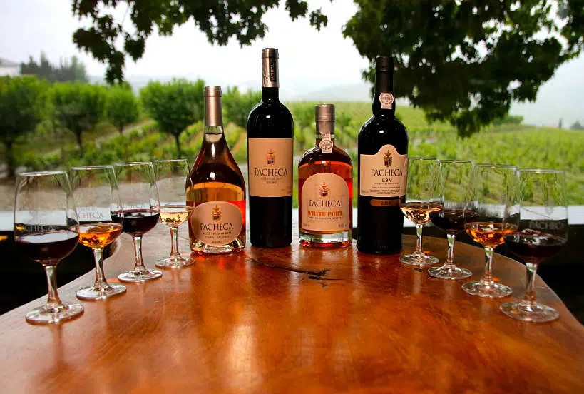 Quinta Da Pacheca Wine Tasting Douro Valley Wineries by Authentic Food Quest