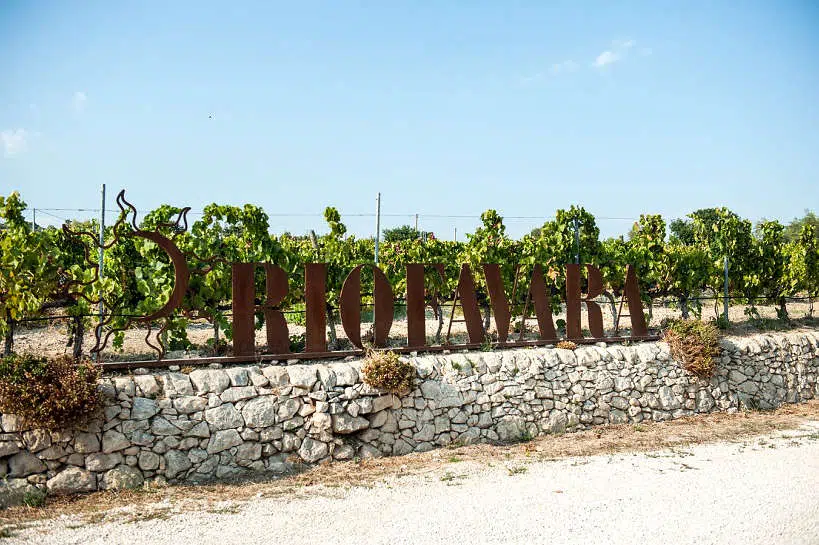 Riofavara Winery Sicily by Authentic Food Quest