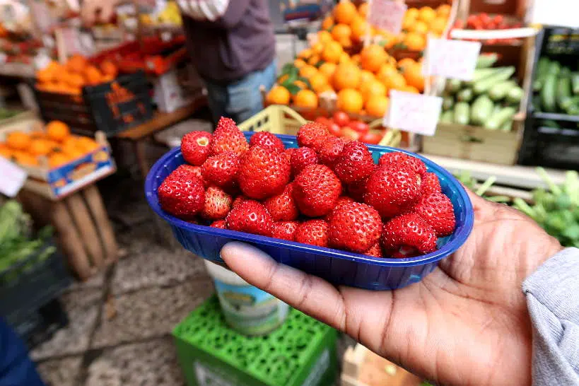 Sicilian Wild Strawberries_Sicily by Authentic Food Quest