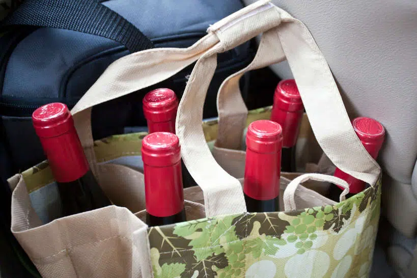 The 10 Best Travel Wine Bags of 2023