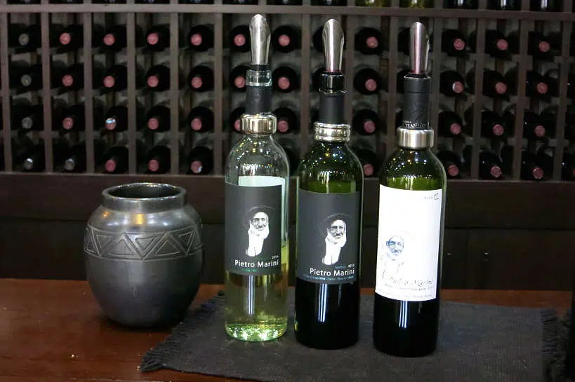 Bodega El Transito Cafayate Salta Argentina by Authentic Food Quest