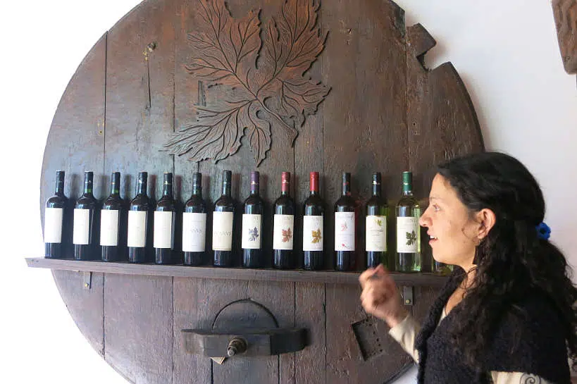 Bodega Nanni Cafayate Salta Argentina Authentic Food Quest