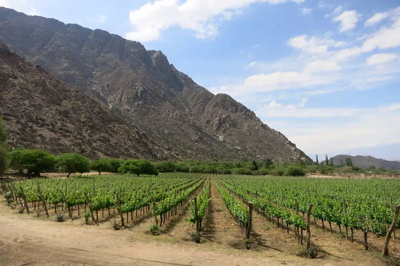 Jose L Mounier Finca Las Nubes Wineries Cafayate Salta Argentina by Authentic Food Quest