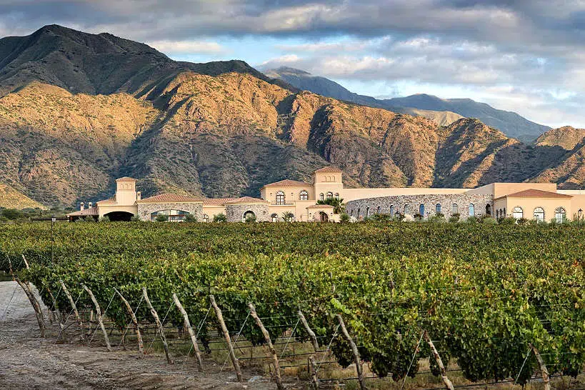 Piattelli Vineyard Cafayate Salta Argentina by Authentic Food Quest