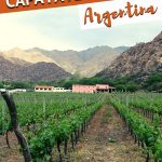 Pinterest by Argentina Cafayate Wineries Guide by Authentic Food Quest