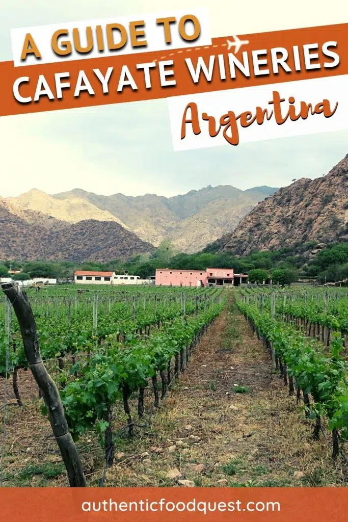 Pinterest by Argentina Cafayate Wineries Guide by Authentic Food Quest