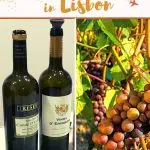 Pinterest Best Lisbon Wine Tours by Authentic Food Quest