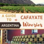 Pinterest Bodegas Cafayate Wineries Argentina by Authentic Food Quest