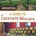 Pinterest Bodegas Cafayate Argentina by Authentic Food Quest