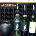 Pinterest Cafayate Wineries Argentina by Authentic Food Quest